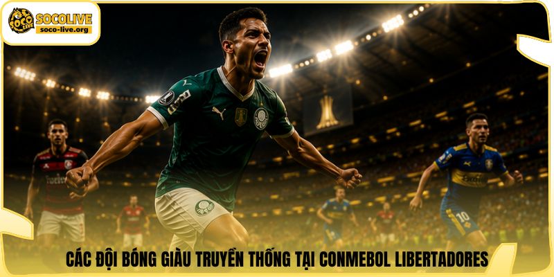 Các đội bóng giàu truyền thống tại CONMEBOL Libertadores