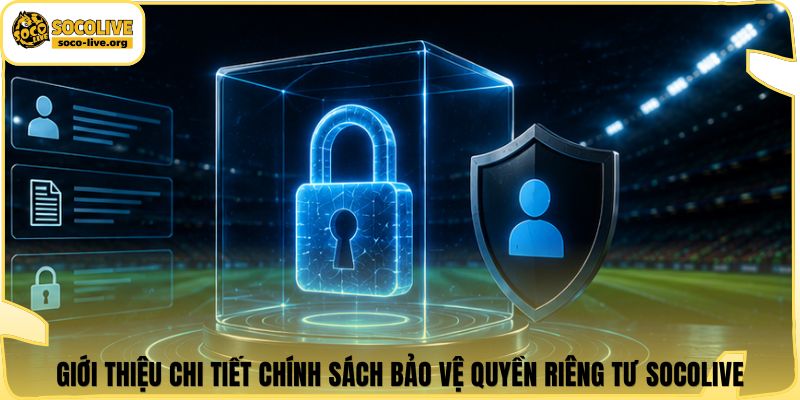 Giới thiệu chi tiết chính sách bảo vệ quyền riêng tư Socolive