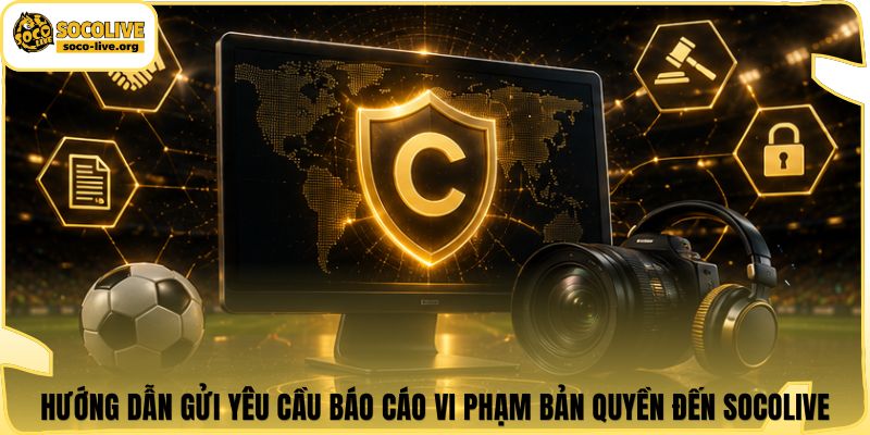 Hướng dẫn gửi yêu cầu báo cáo vi phạm bản quyền đến Socolive