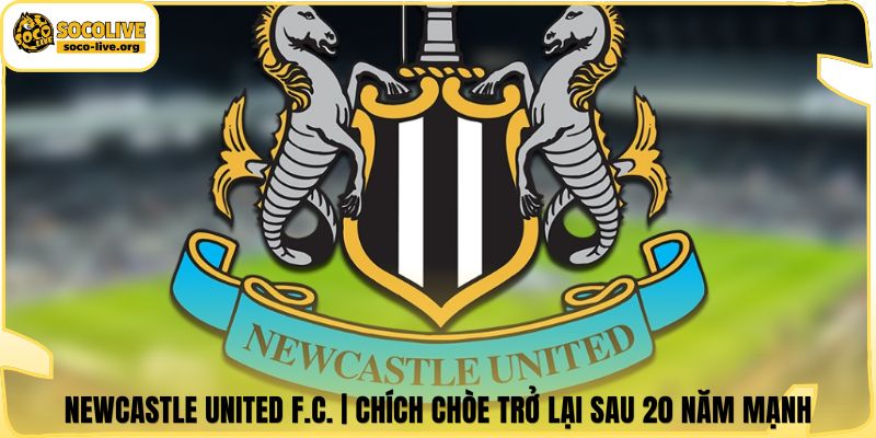 Newcastle United F.C. | Chích Chòe Trở Lại Sau 20 Năm Mạnh