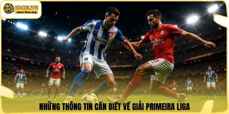 Những thông tin cần biết về giải Primeira Liga